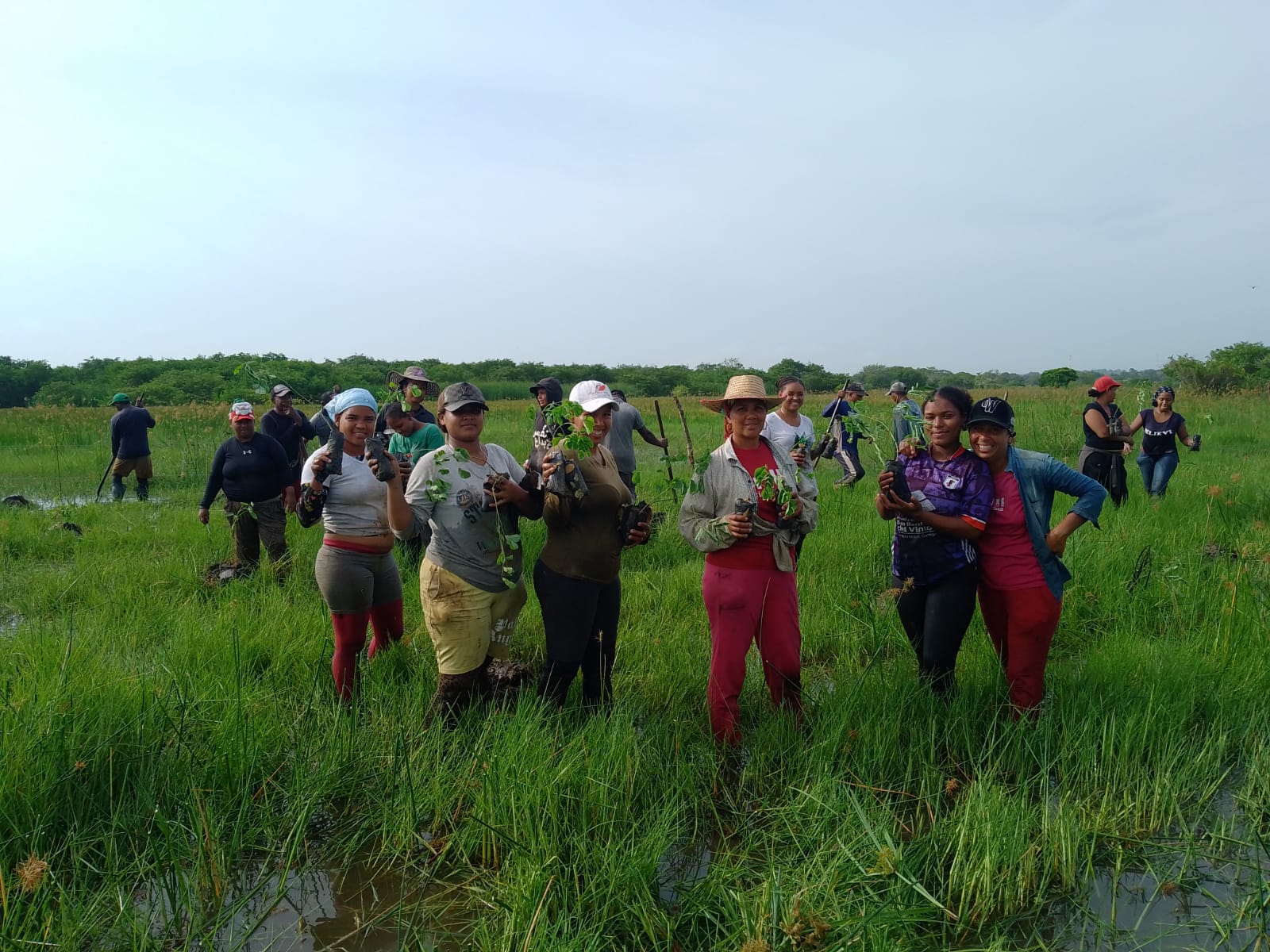 COP30. Conferencia de las Naciones Unidas sobre el Cambio Climático