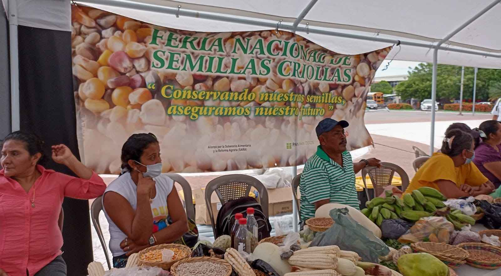 Puesto de semillas nativas y criollas de la feria.