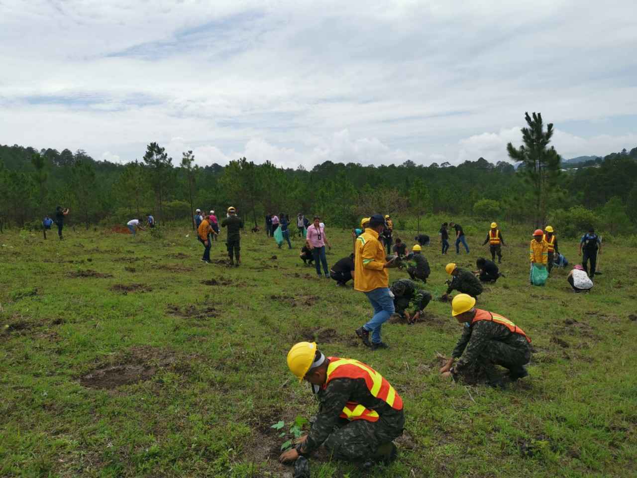Municipalidad de Santa Rosa de Copán y la Cooperación Española encabezan actividades de reforestación
