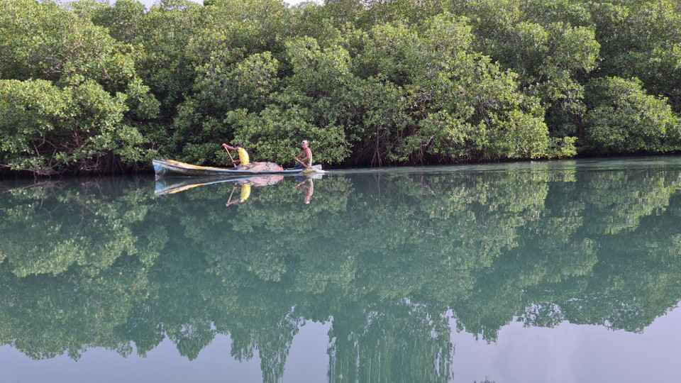 Honduras: Hacia caminos sostenibles y verdes frente al cambio climático