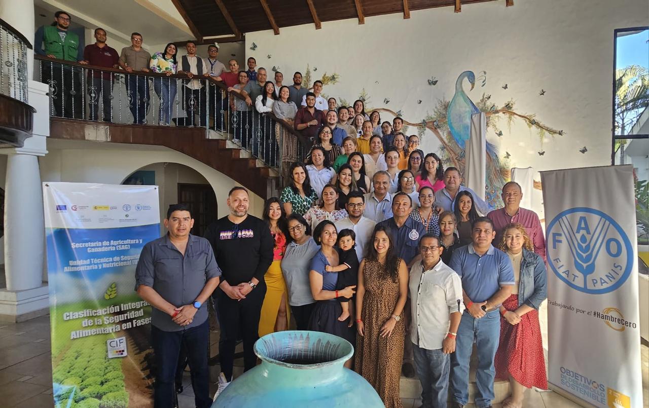 Desarrollado el análisis de la