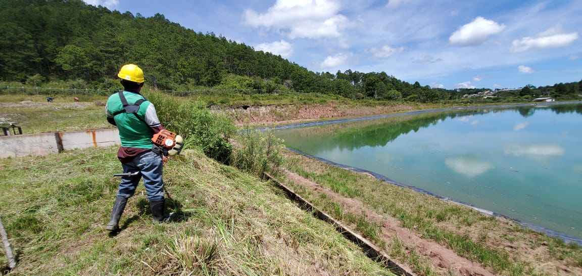 COMPONENTE II - Fortalecimiento Institucional