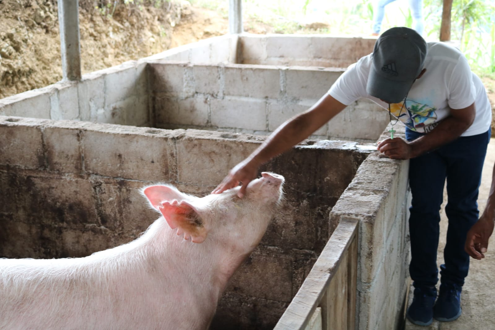 Mejoran las condiciones de vida de más de 4,000 indígenas del departamento de Yoro y La Paz