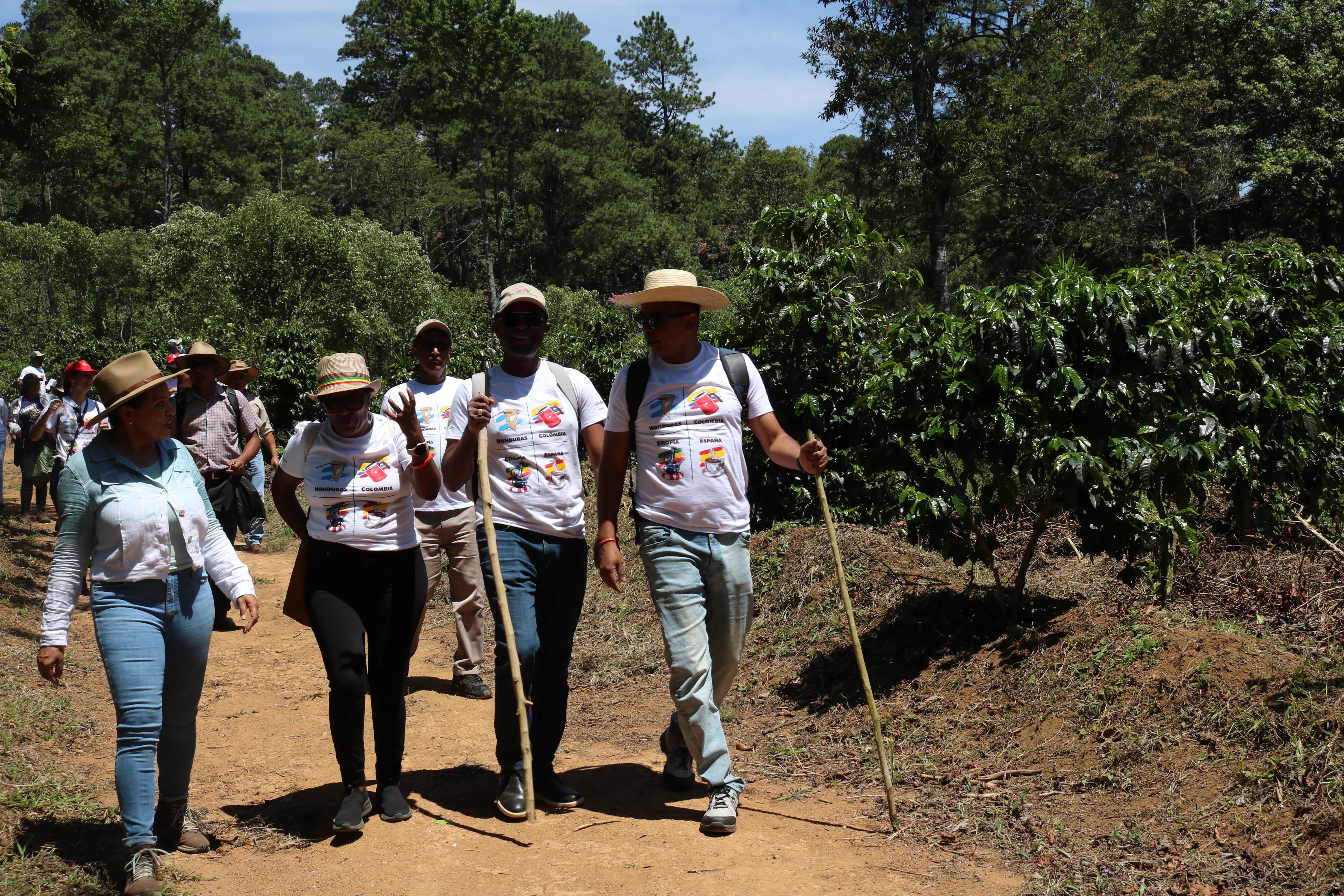 Un café más justo, resiliente al cambio climático y con beneficios para las mujeres que lo trabajan en Honduras, Colombia y, también, en Etiopía