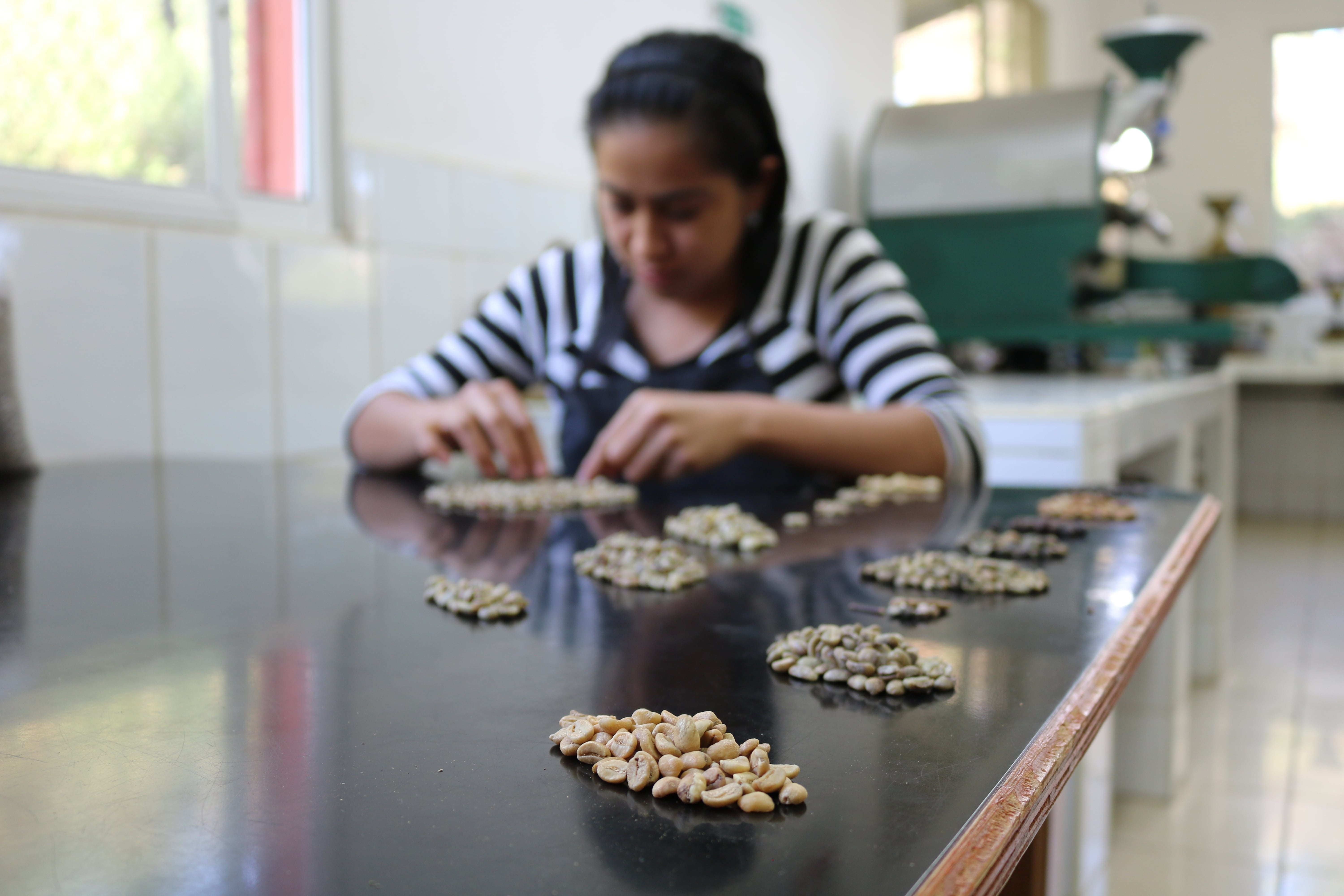 Un café más justo, resiliente al cambio climático y con beneficios para las mujeres que lo trabajan en Honduras, Colombia y, también, en Etiopía