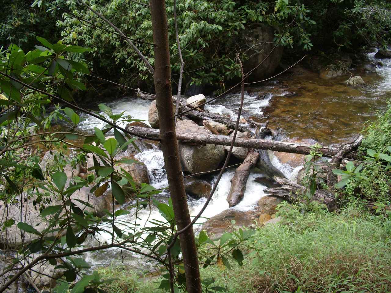Componente 4.- Gestión integrada de la cuenca del Río Goascorán (HONDURAS).