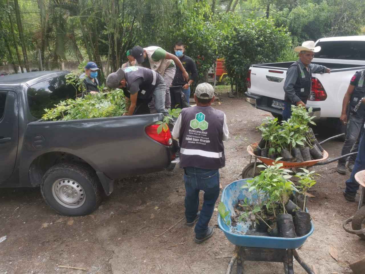 Municipalidad de Santa Rosa de Copán y la Cooperación Española encabezan actividades de reforestación