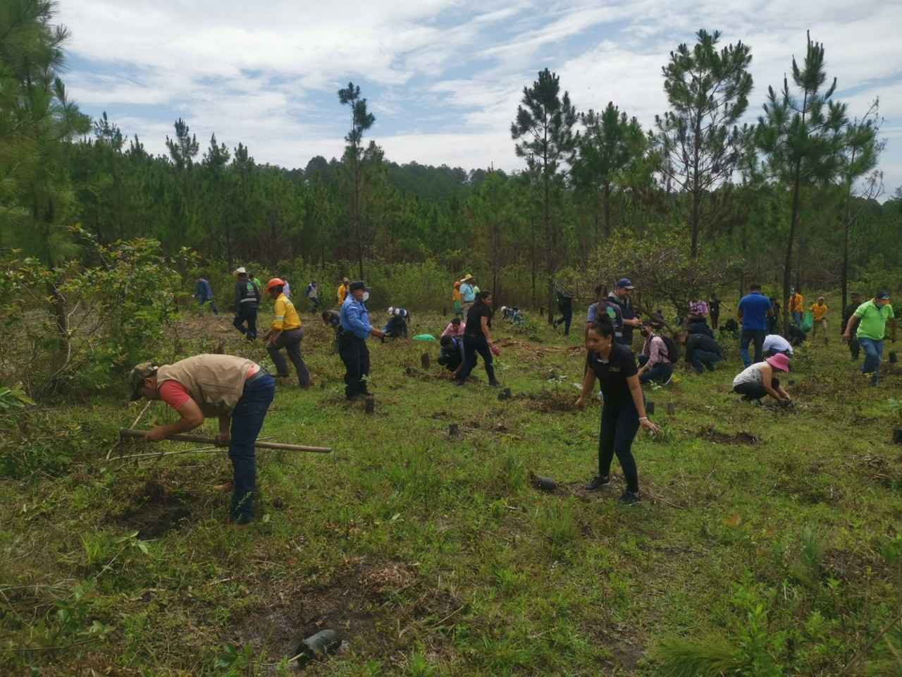 Municipalidad de Santa Rosa de Copán y la Cooperación Española encabezan actividades de reforestación